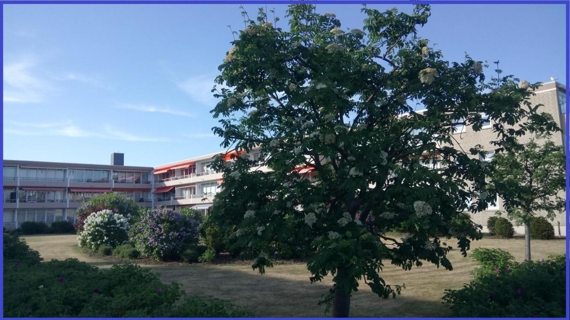 Bonna&#039S Ostsee Oase - Haus Baltic - Whg 180 - Inkl Gratis Wlan Und Saisonstrandkorb Grömitz Exterior foto